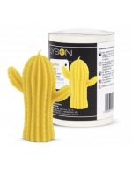 Stampo in silicone - Cactus FS526