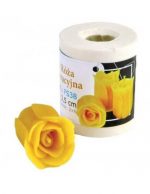 Rosa piccola FS38