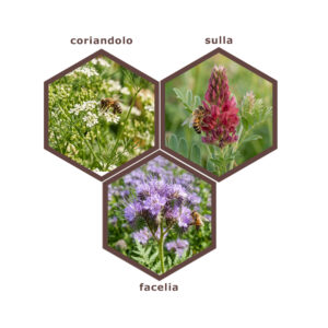 Sementi mellifere per l'apicoltura