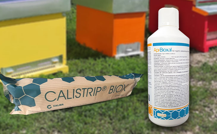 Trattamenti antivarroa.