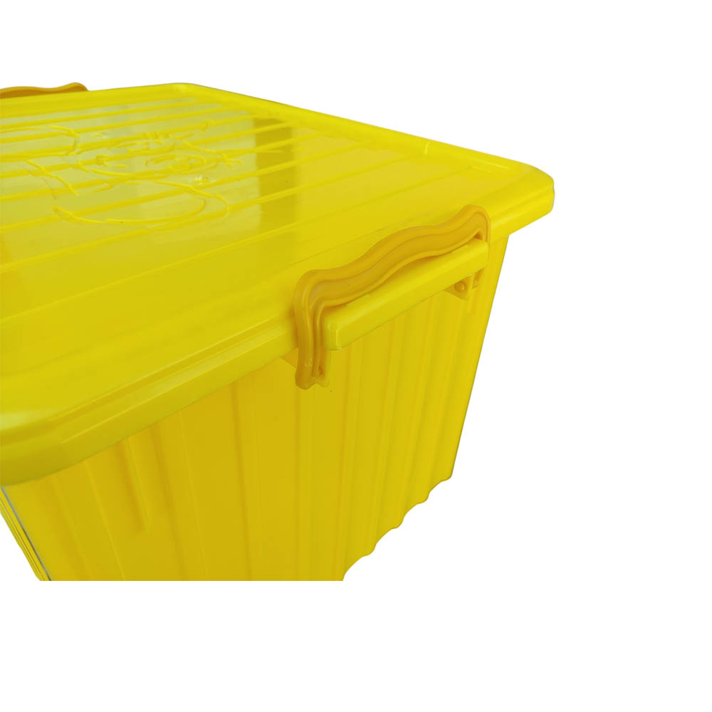 Cassa di servizio per apicoltura