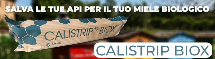 banner_calistrip